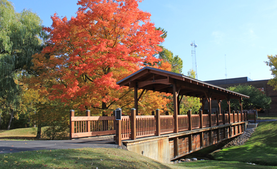 Lakeshore Bridge